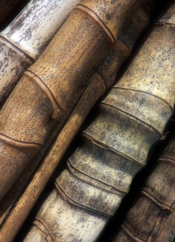 Serviette cheveux en bambou biocell, douce et absorbante